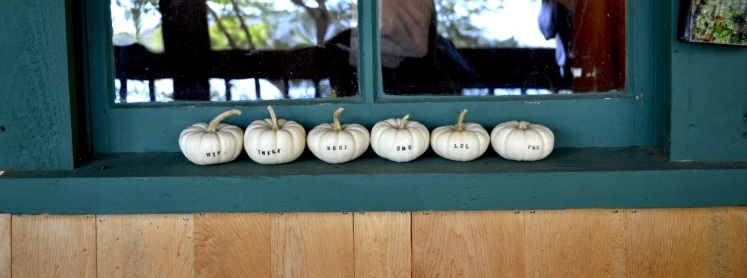 pumpkins lined up