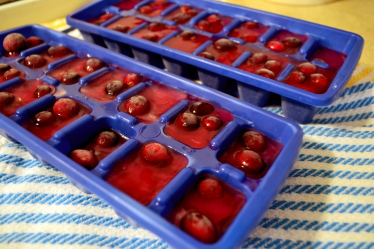 cranberry ice cubs